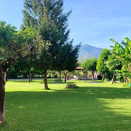 Villa Josette Sant'Egidio del Monte Albino Εξωτερικό φωτογραφία